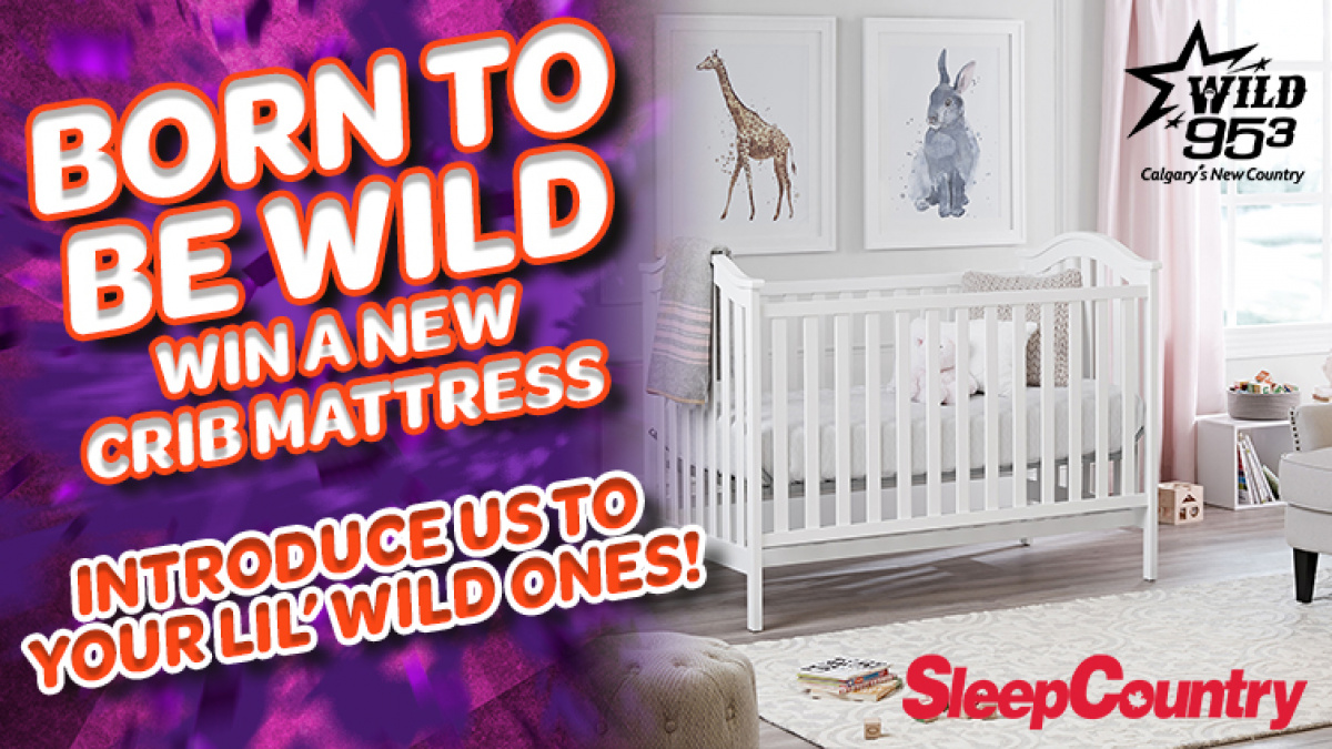 Born To Be Wild Shout Outs With Sleep Country Canada Wild 953